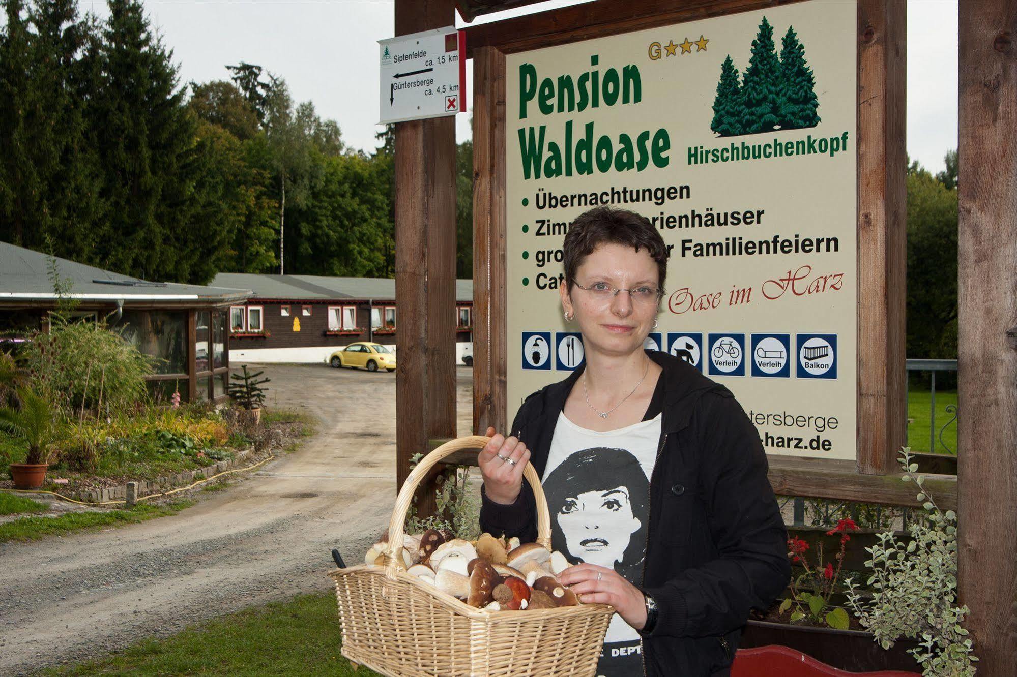 Hotel Waldoase Hirschbuechenkopf Güntersberge Esterno foto