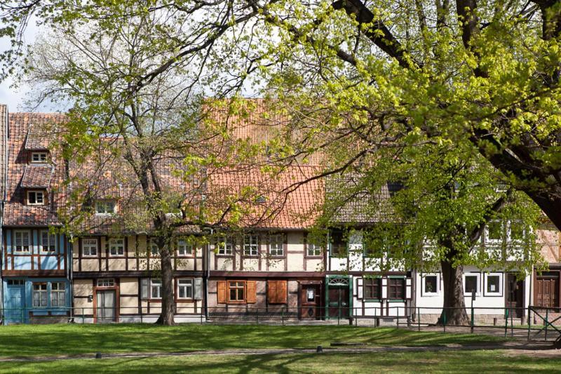 Hotel Waldoase Hirschbuechenkopf Güntersberge Esterno foto